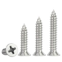 304 Stainless Steel Cross Recessed Countersunk Head Tapping Screws M1-0x5 - 1