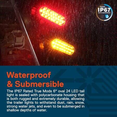 3V 20mA 546 Beyaz Oval Led 28mm Bacak Uzunluğu - 5
