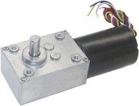 5840-3650 12V 27RPM Brushless DC Worm Gear Reduction Motor With Encoder - 1