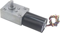 5840-3650.24V 40RPM Brushless DC Worm Gear Reduction Motor With Encoder - 3