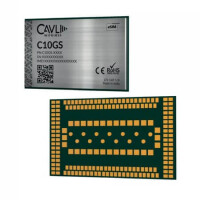C10GS-S004N LTE CAT-4 MODULE WITHOUT GNSS - 1