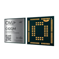 C42GM_MFF2 MODULE LTE CAT M1/NB2/NB1/2G WITH MFF2 - 1