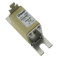 CFL0100ET FUSE 100A 690V NH00 CHASIS - 1