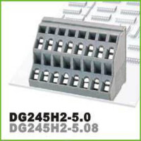 DG245H2-5.0-06P-11-00AH TERM.BLK.5.0MM 2x3P PCB SPRING TYPE GRAY - 1