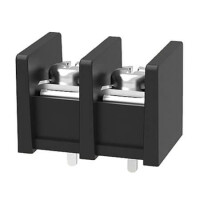 DG55C-B-02P-13-00AH TERM.BLK.10MM 2PIN 180C BARRIER BLACK - 1
