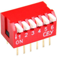 DS1040-06RT SWITCH DIP 6 Pos. SPST 100mA 24VDC THT V/T - 1