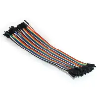  Female to Female Dupont Line 40 Pin 20cm 24AWG - 2