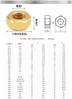 M6 Hexagonal Copper Nut - 4