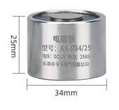P34/25 DC24V Electric Sucker Electromagnet 25KG - 1