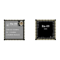 RA-09 LORA MODULE (STM32WLE5CCU6) - 1