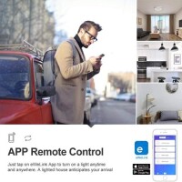 Sonoff RFR2 Smart Home WiFi Mobile Remote Control Siri Voice Control On/Off Switch 10A 433Mhz Version - 4
