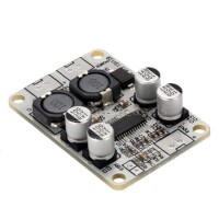TPA3110 PBTL Single Digital Amplifier Board 1x30W - 1