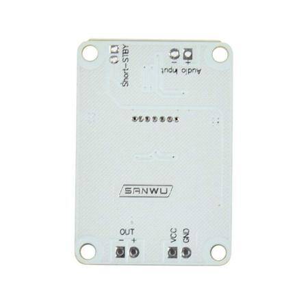 TPA3110 PBTL Single Digital Amplifier Board 1x30W - 5