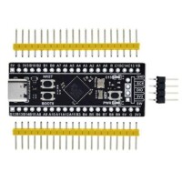 Unsoldered Black STM32F401CCU6 Development Board Type-C - 2