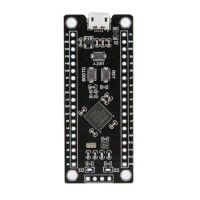 Unsoldered Black STM32F411CEU6 Development Board Micro - 1