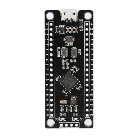 Unsoldered Black STM32F411CEU6 Development Board Micro - 1