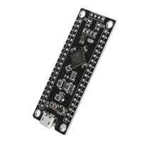 Unsoldered Black STM32F411CEU6 Development Board Micro - 2