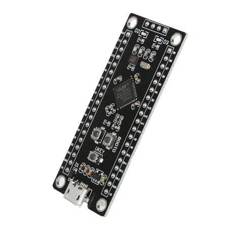 Unsoldered Black STM32F411CEU6 Development Board Micro - 2