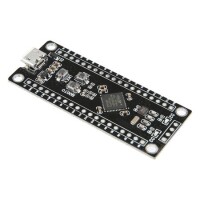 Unsoldered Black STM32F411CEU6 Development Board Micro - 3