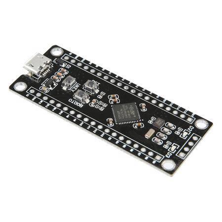 Unsoldered Black STM32F411CEU6 Development Board Micro - 3