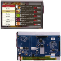 WF101LSYFPLHTV# TFT LCD 10.1