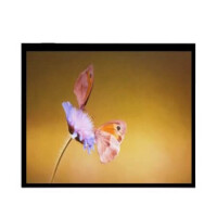 WF102QTIFGDBG0# TFT LCD 10.2” 800x480 CAPACITIVE TOUCH - 1