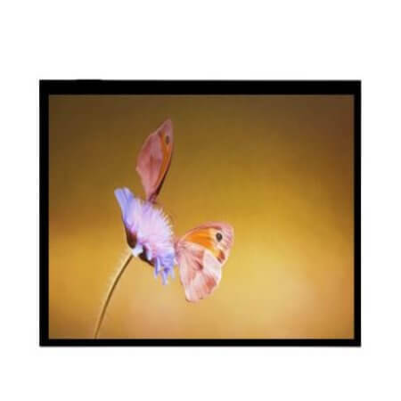 WF102QTIFGDBG0# TFT LCD 10.2” 800x480 CAPACITIVE TOUCH - 1