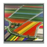 WF102QTIFGDBN0# TFT LCD 10.1” PANEL 800x480 WINSTAR - 1