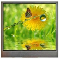 WF43GTIFEDAT0# TFT LCD MOD. 4.3