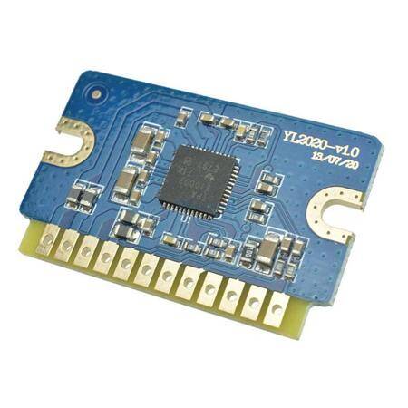 YL2020 20W-20W D Class 12V-24V Mini Digital Power Amplifier Module - 1